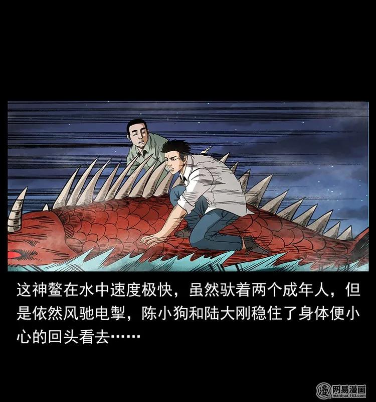 80.jpg