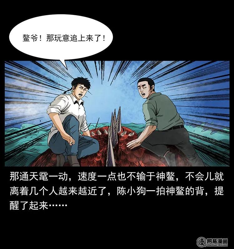 82.jpg