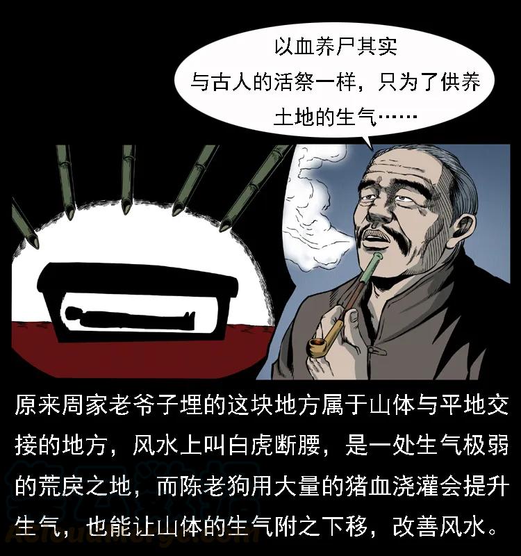 25.jpg