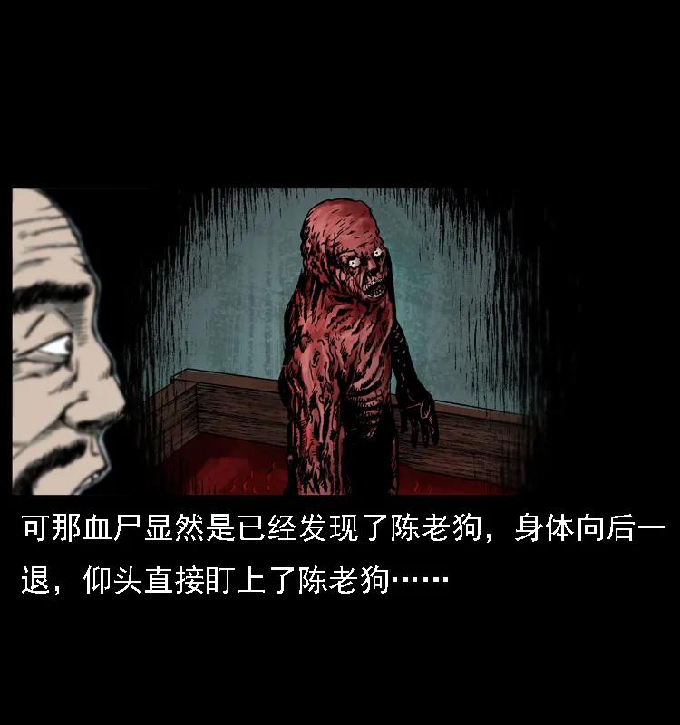 47.jpg