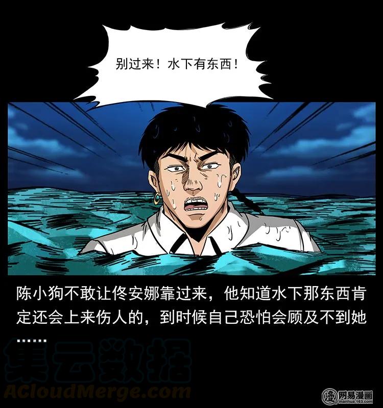 41.jpg