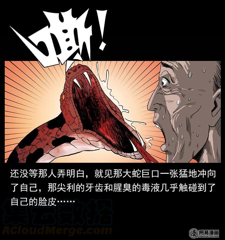 81.jpg
