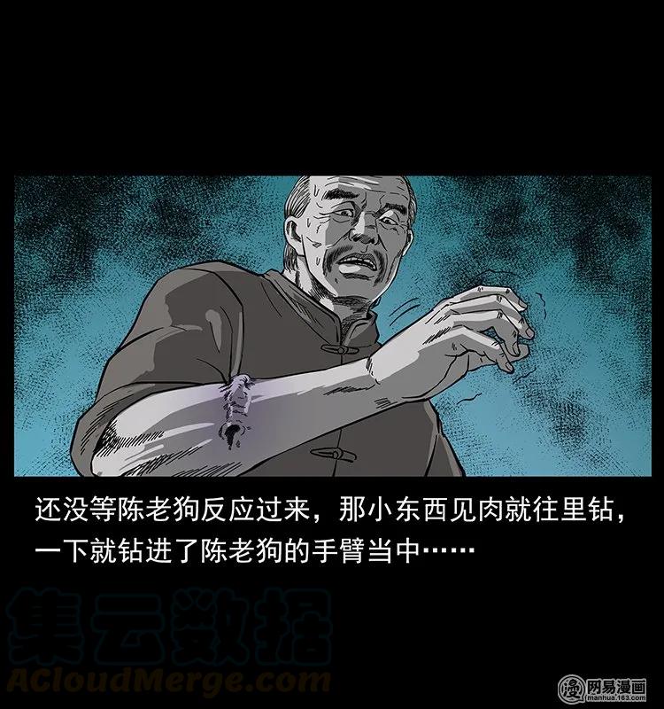 65.jpg