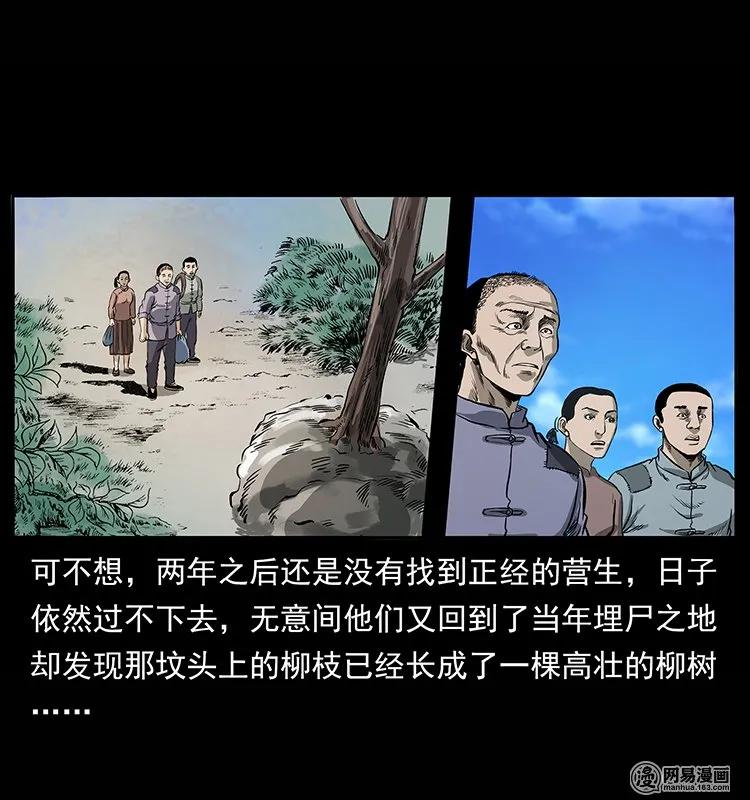 86.jpg