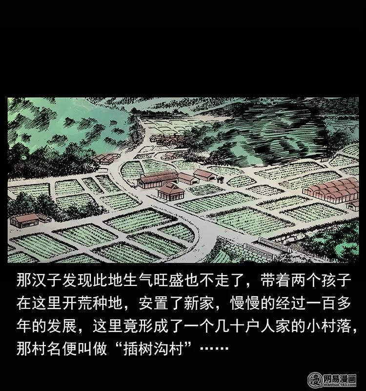87.jpg