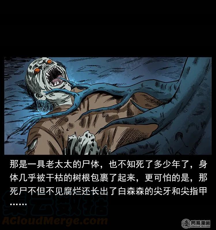 73.jpg