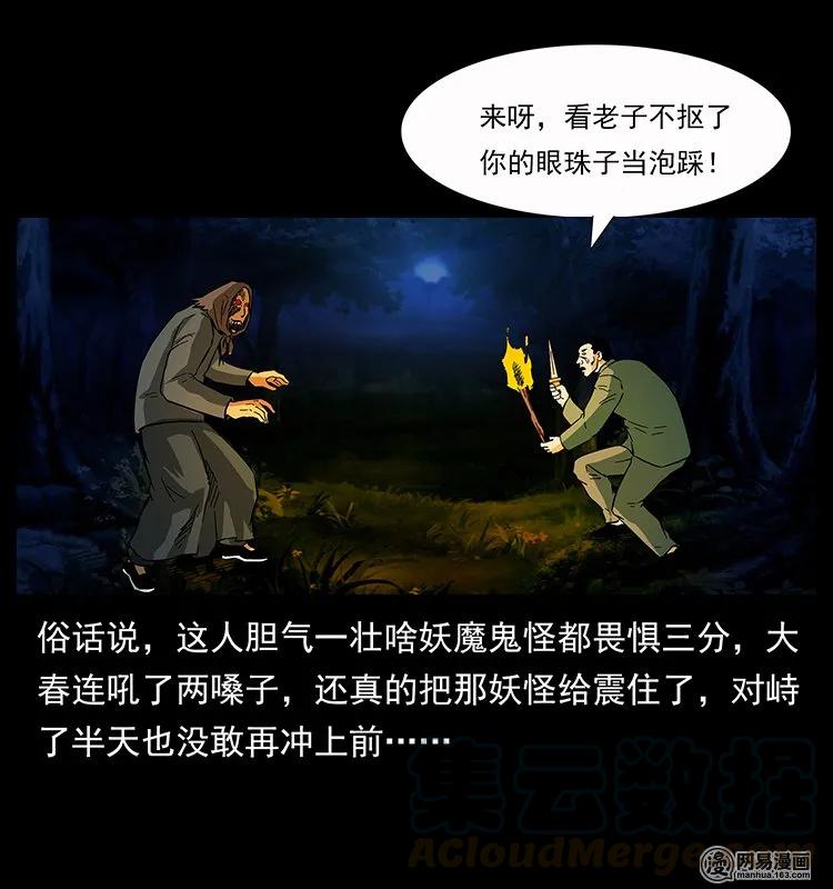81.jpg