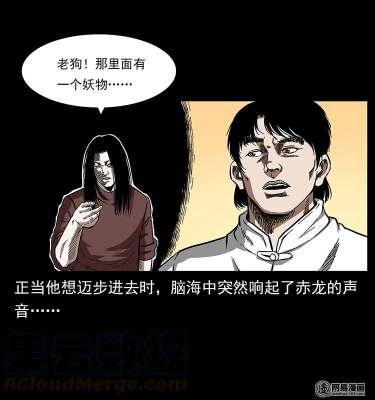 77.jpg