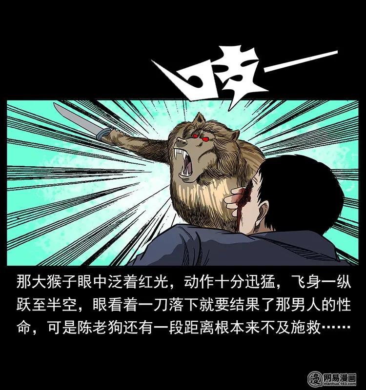31.jpg