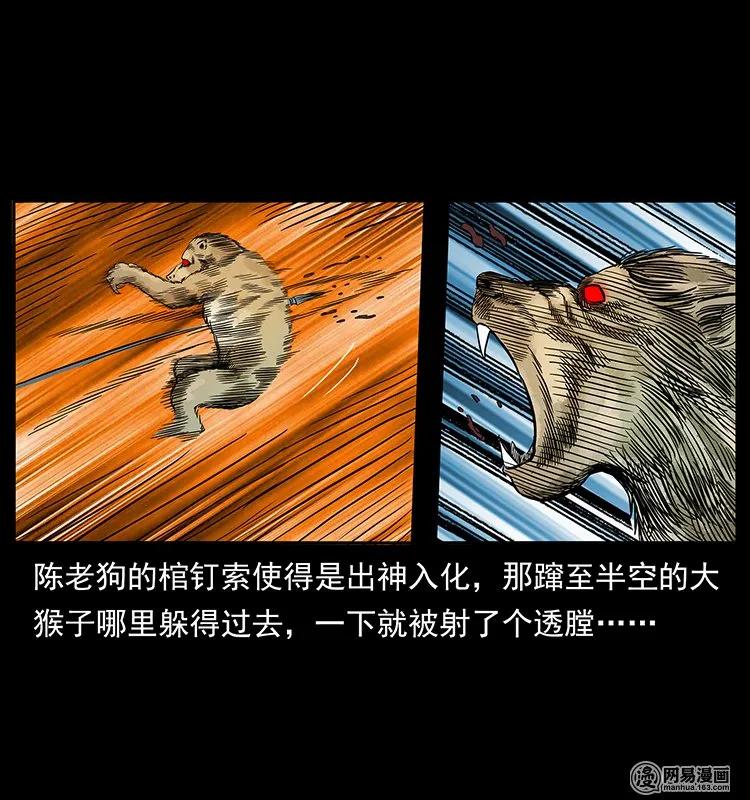 40.jpg