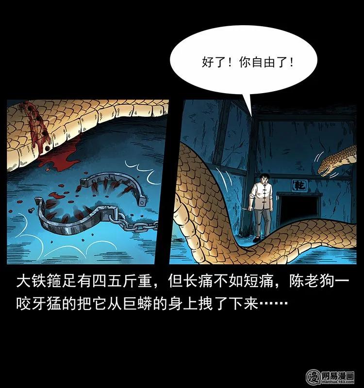 74.jpg