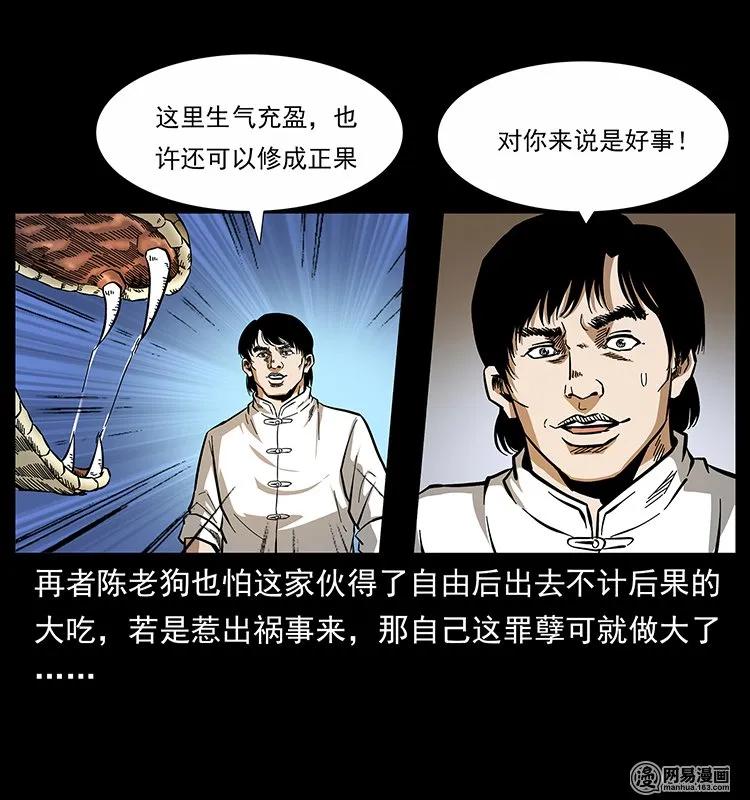 78.jpg