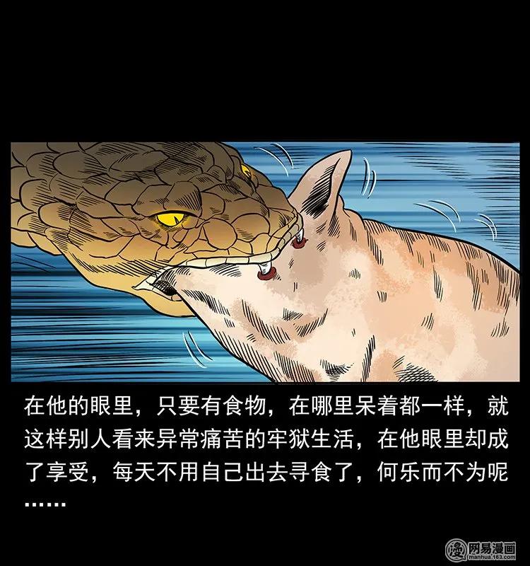 60.jpg