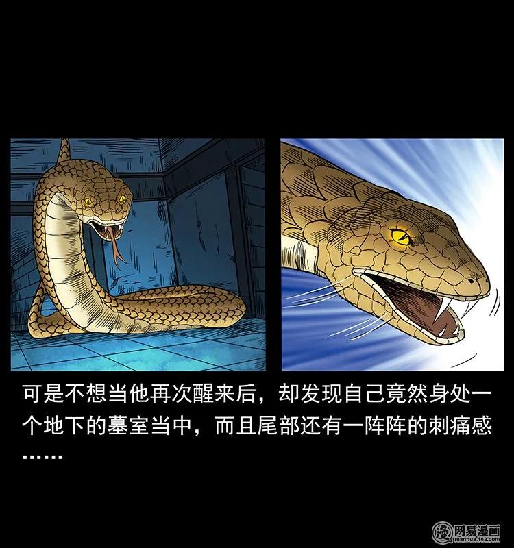 62.jpg