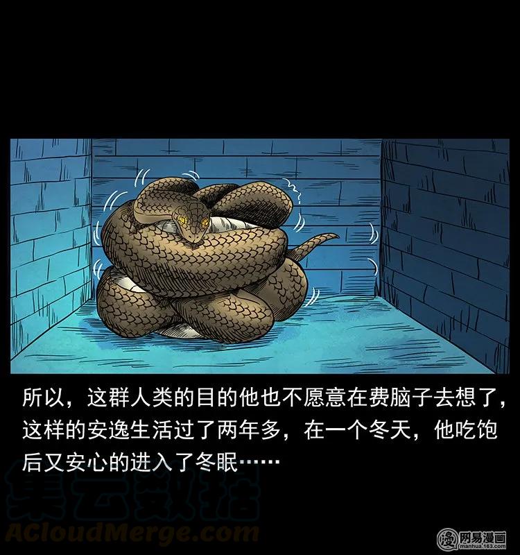 61.jpg