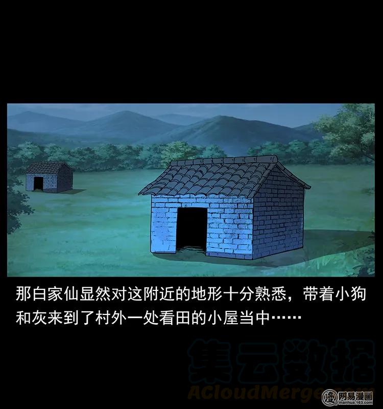 53.jpg