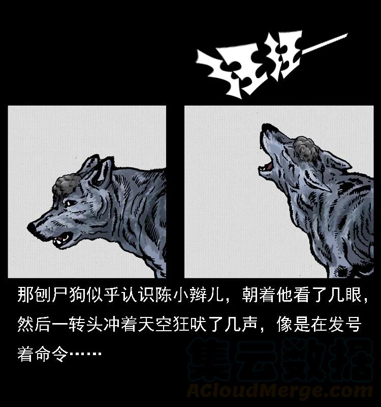 65.jpg