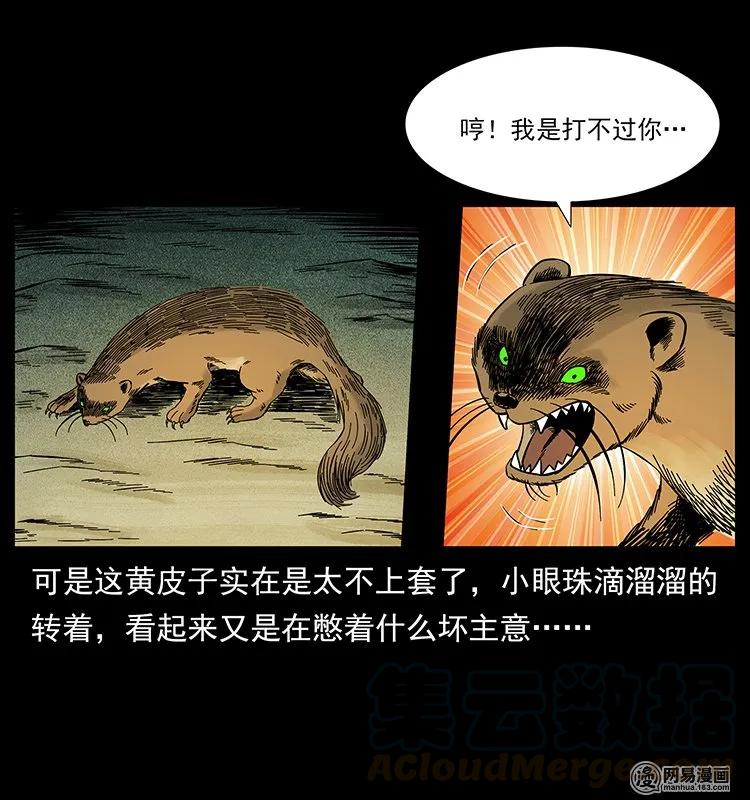 57.jpg