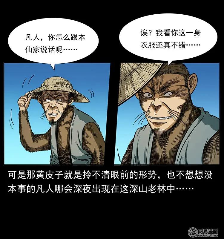 47.jpg