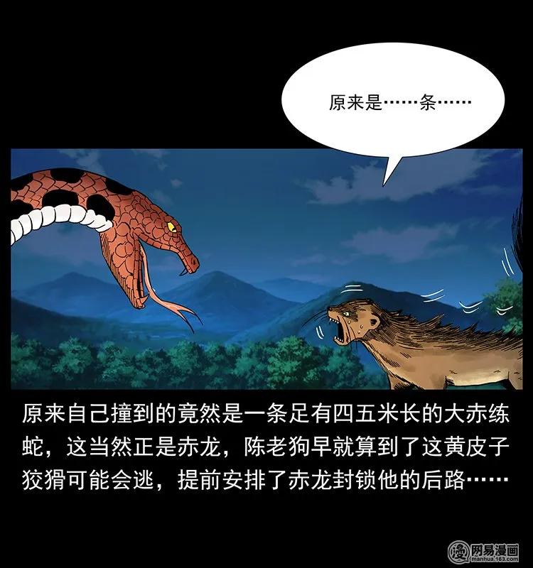 60.jpg