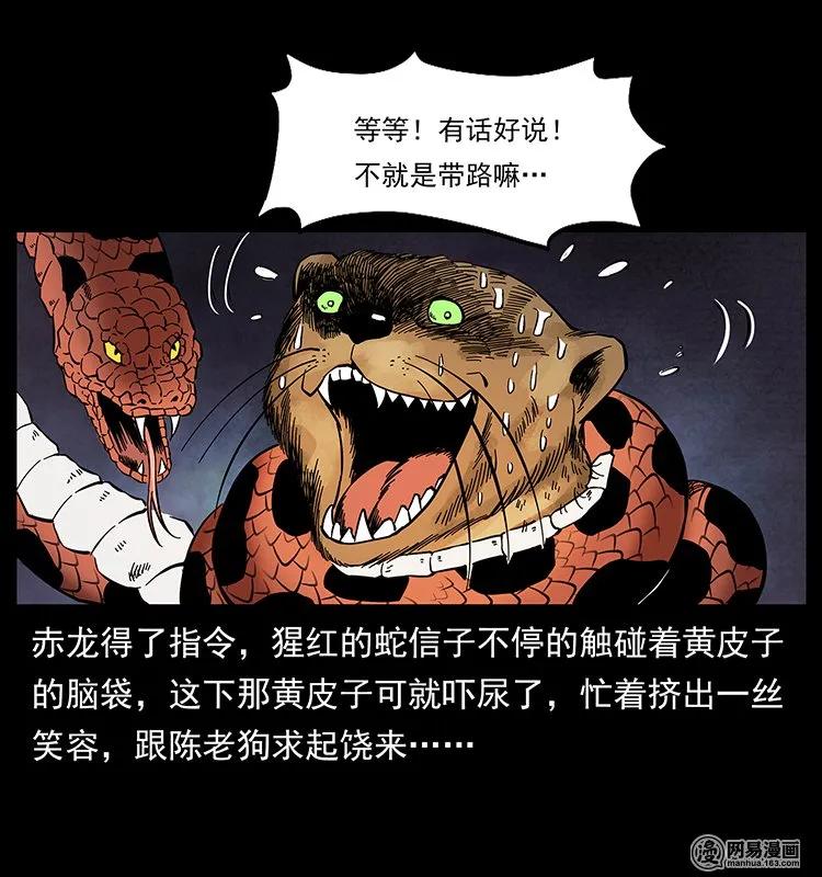 63.jpg