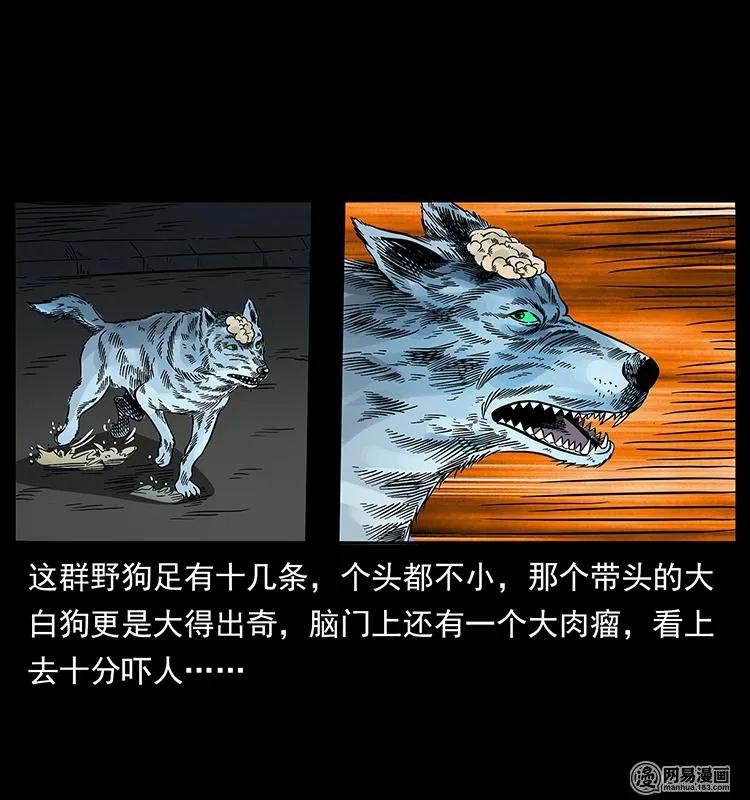 59.jpg