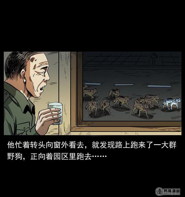 58.jpg