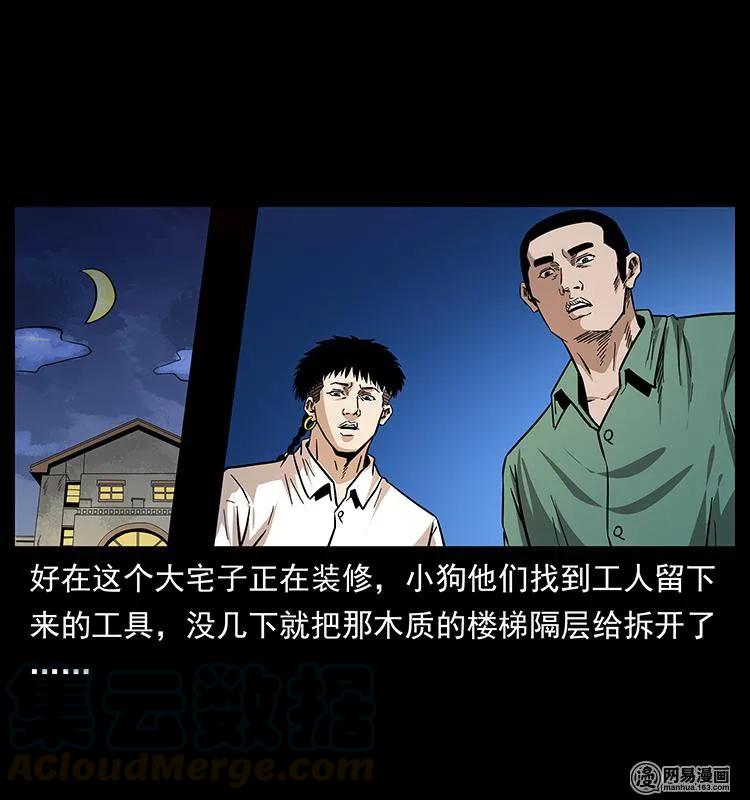 81.jpg
