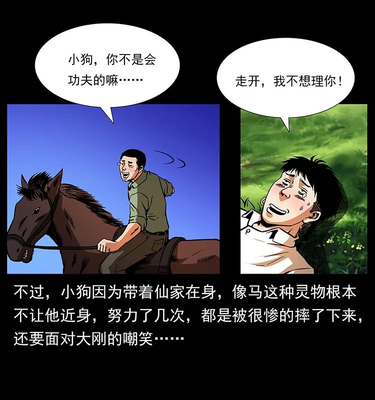 20.jpg