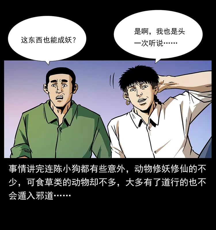 78.jpg