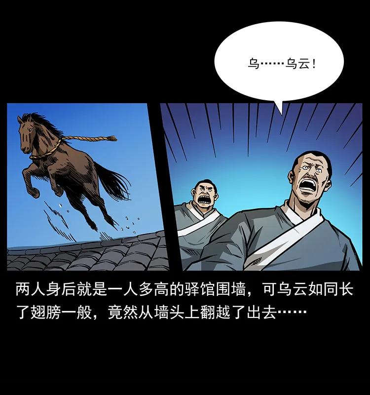31.jpg
