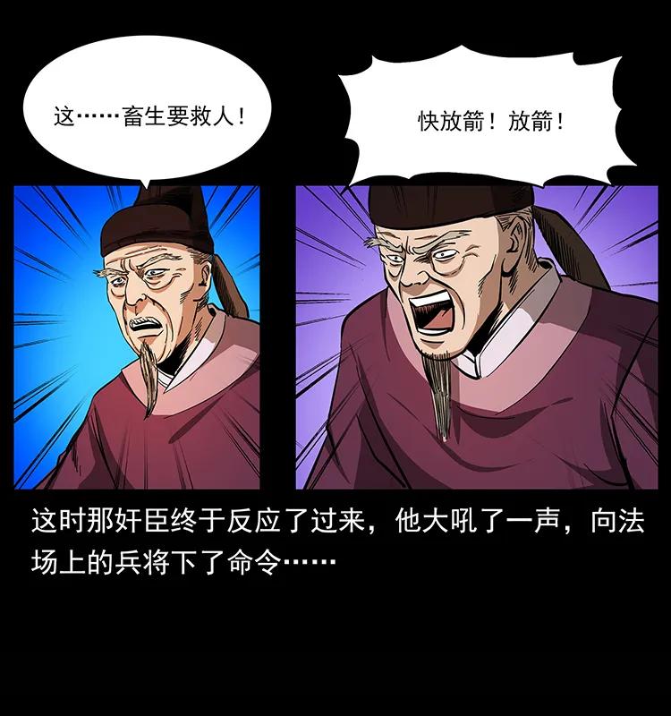 47.jpg