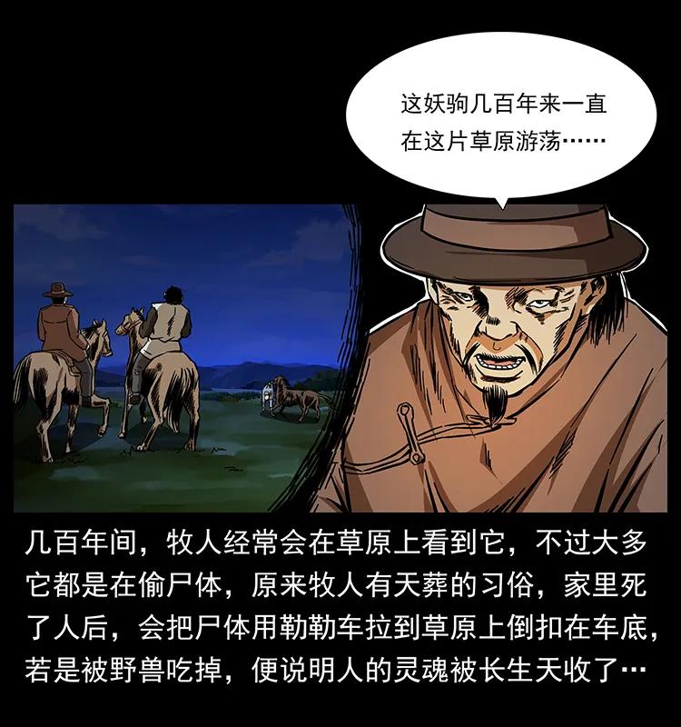 87.jpg