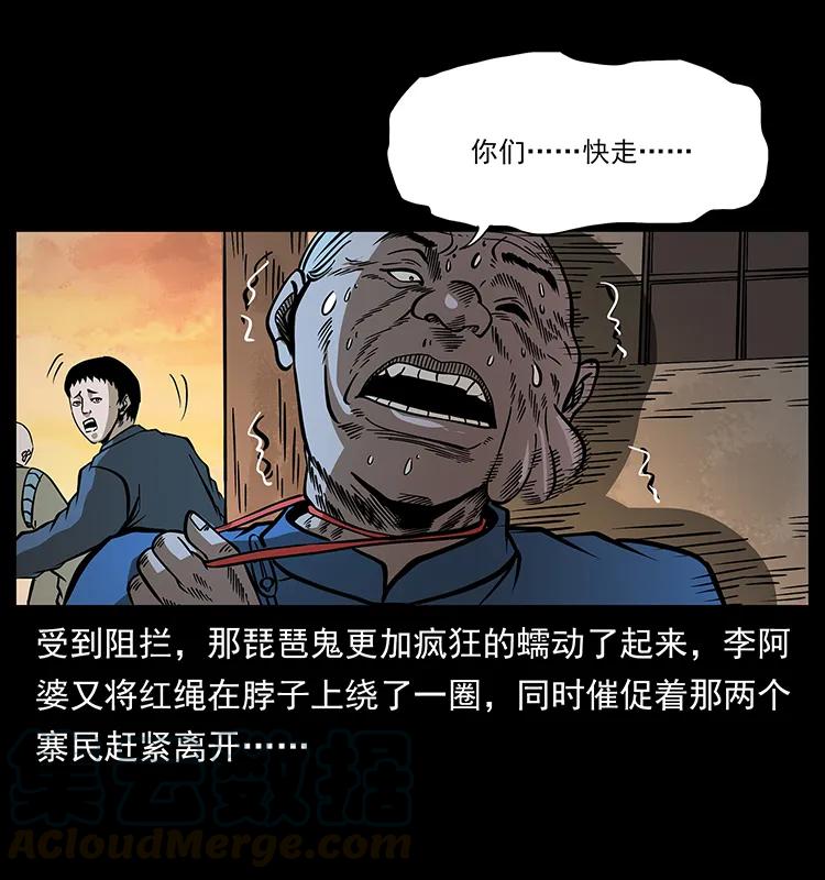 53.jpg