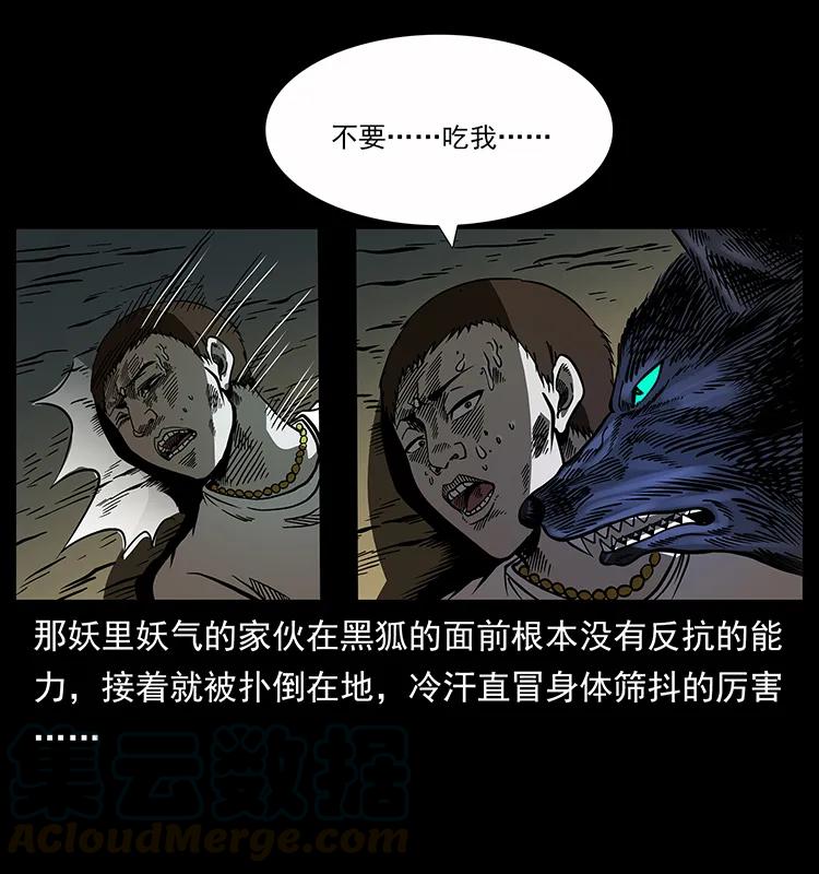 77.jpg