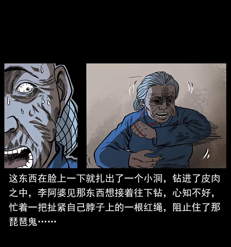 52.jpg