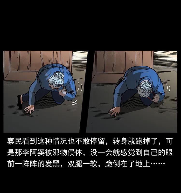 54.jpg