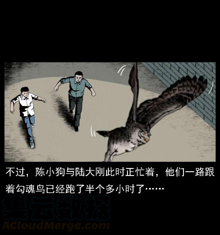 57.jpg