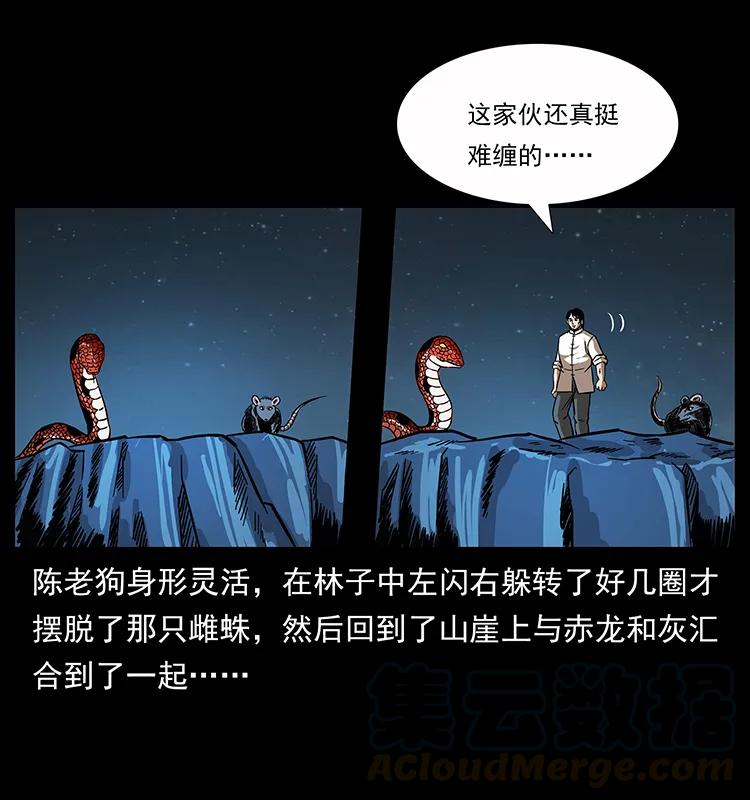 21.jpg