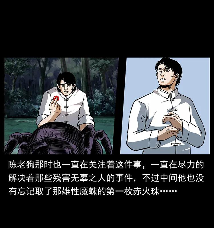 46.jpg