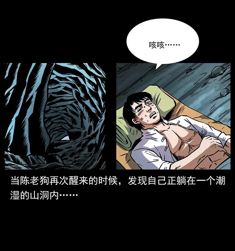 51.jpg
