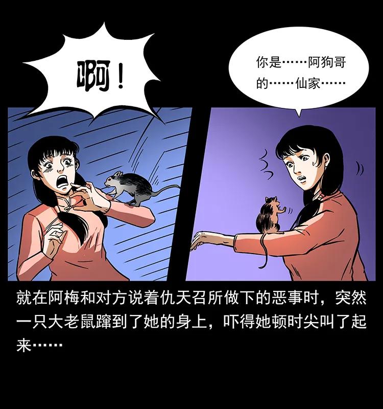 47.jpg