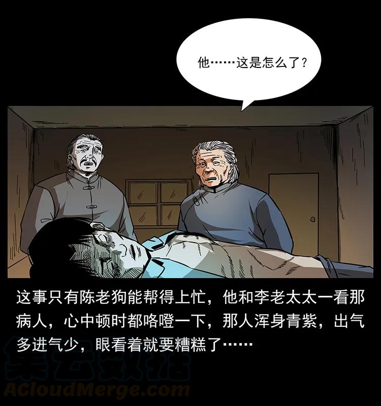 81.jpg