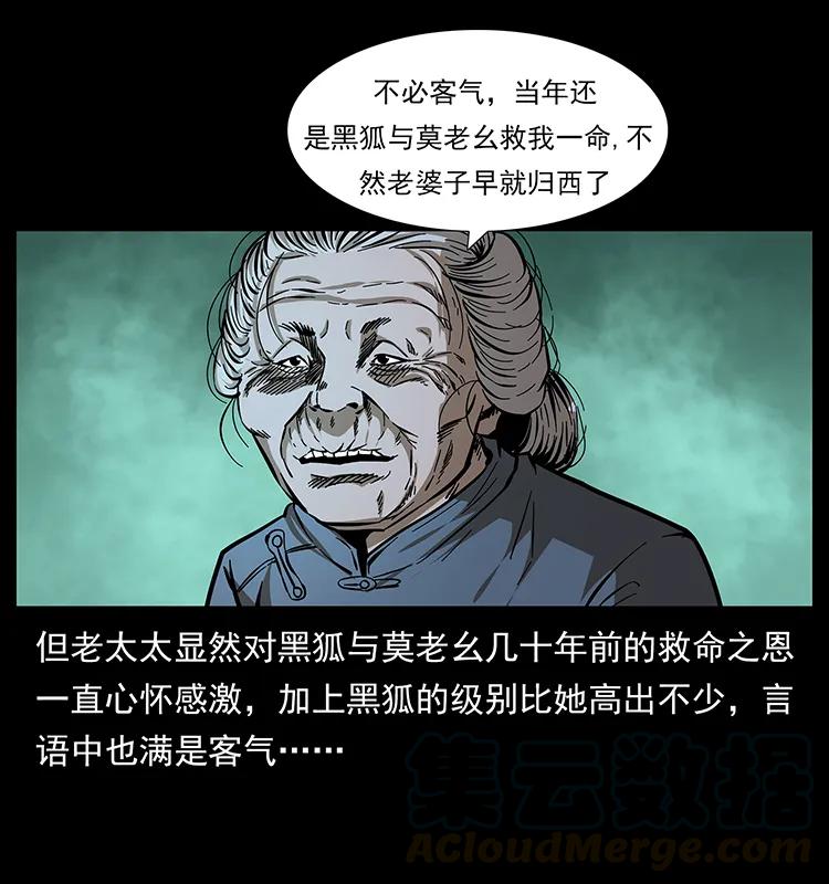49.jpg