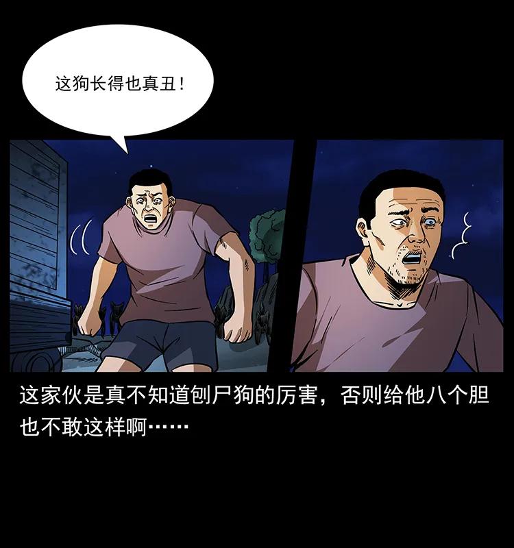 16.jpg