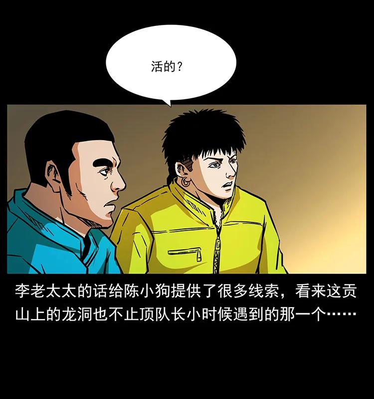 78.jpg