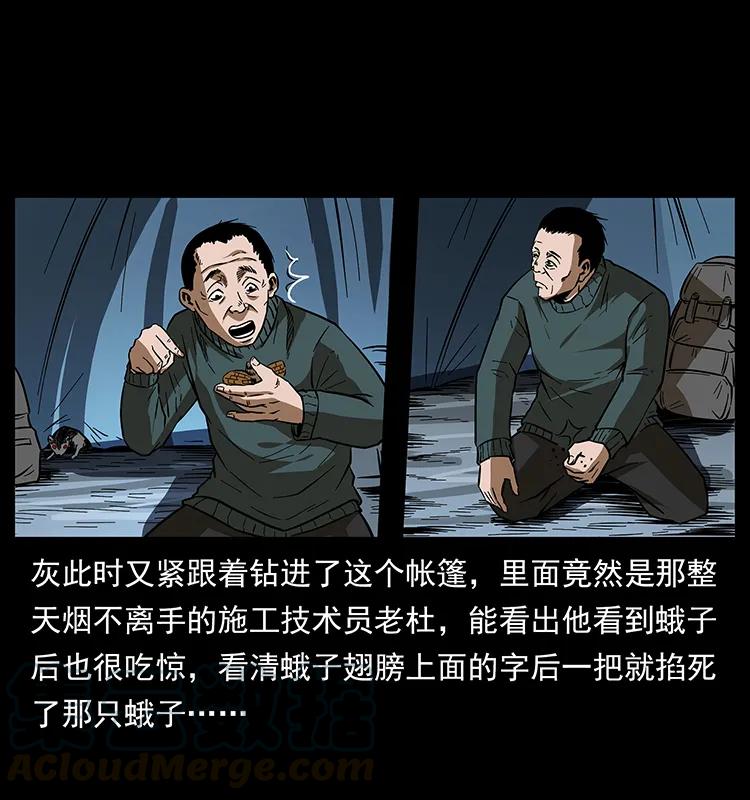45.jpg