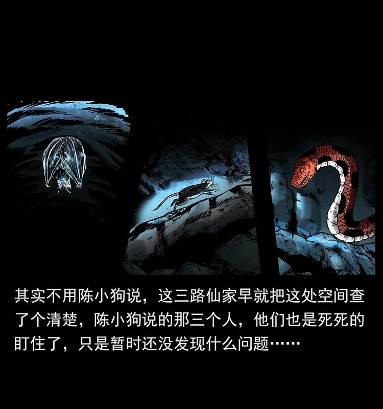 18.jpg