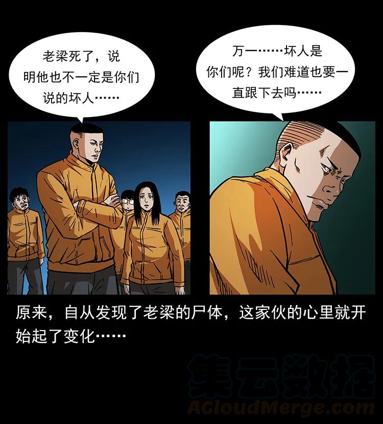 81.jpg