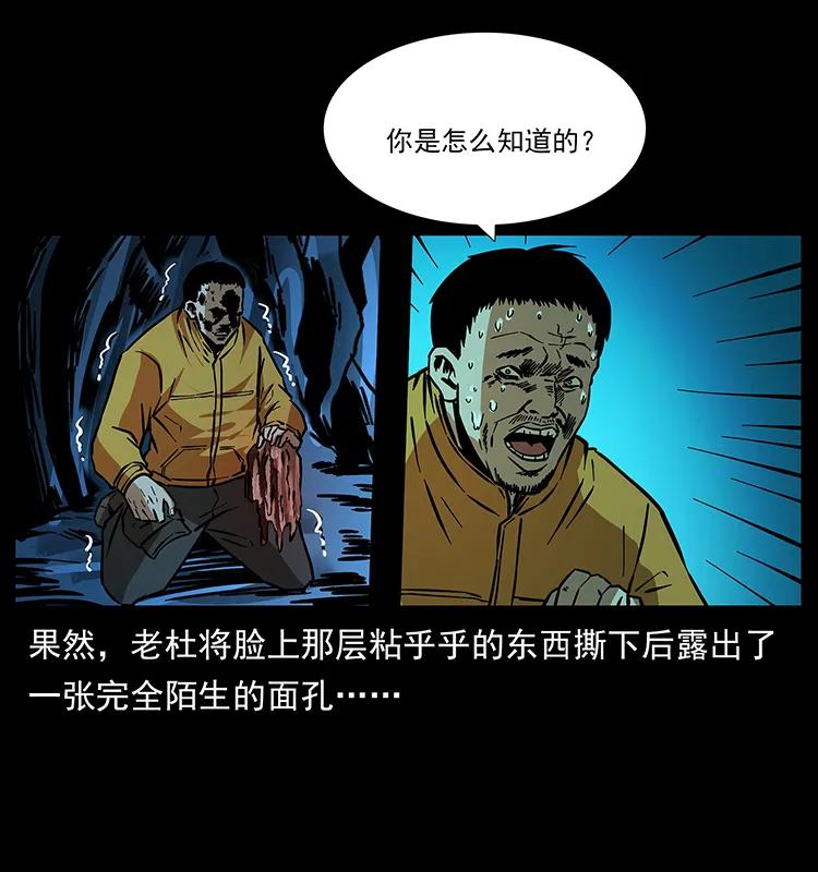 47.jpg